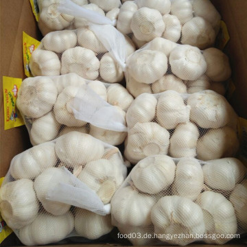 Pure White Knoblauch verpackt mit 500g X20 / 10kg Karton